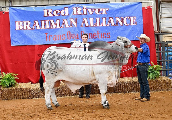 2024 Red River Brahman Alliance Memorial Weekend