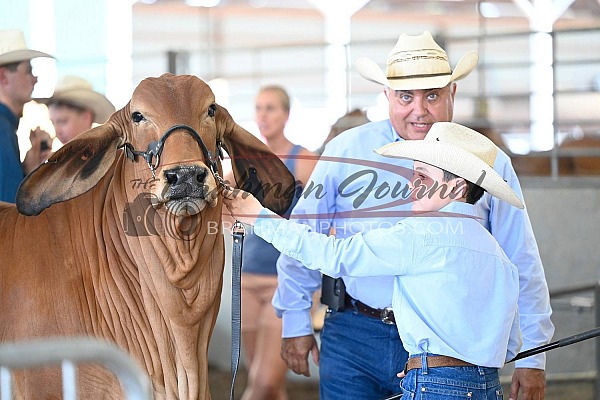 2024 Tennessee State Fair