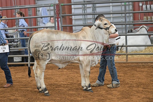2026 Red River