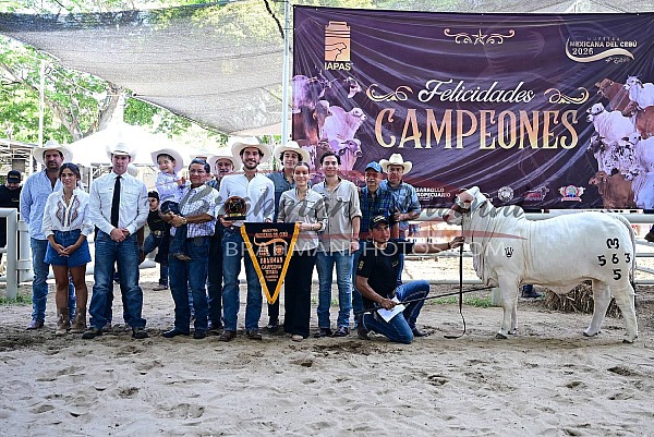 2026 Muestra Mexicana de Cebú